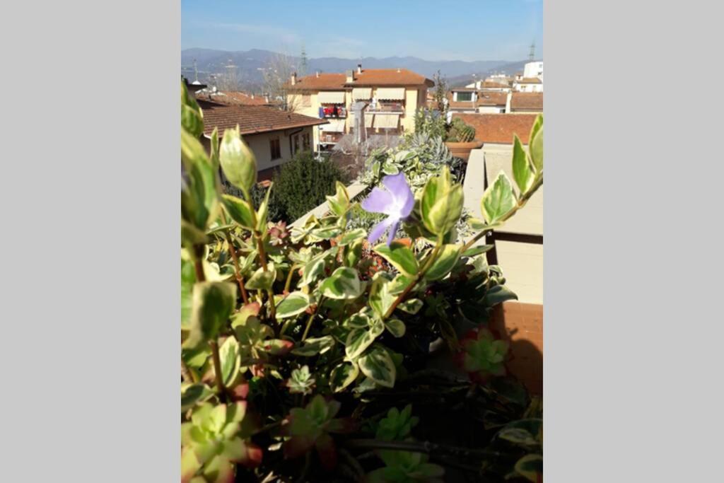 Locazione Turistica Chichibio Apartment Pistoia Luaran gambar
