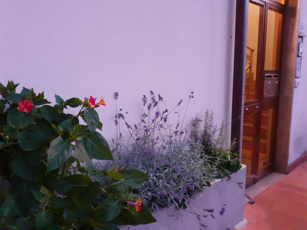 Locazione Turistica Chichibio Apartment Pistoia Luaran gambar